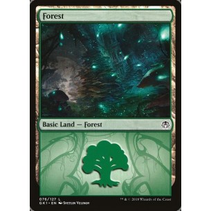 Forest