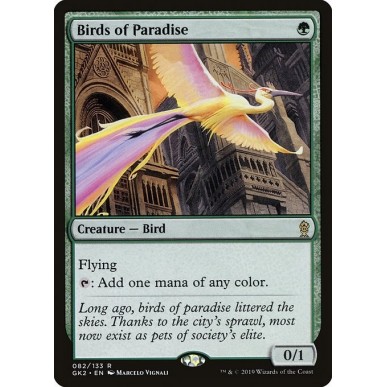 Uccelli del Paradiso