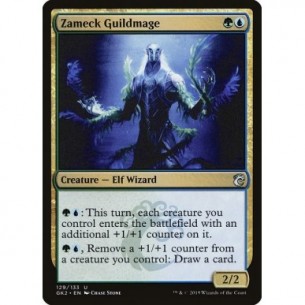 Mago della Gilda di Zameck