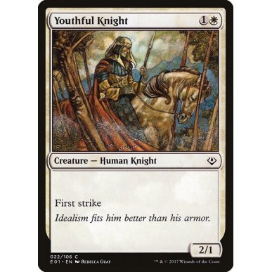 Youthful Knight