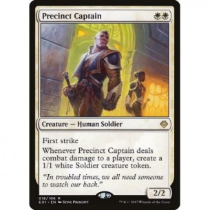 Precinct Captain