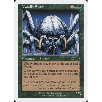 Woolly Spider