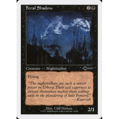 Feral Shadow