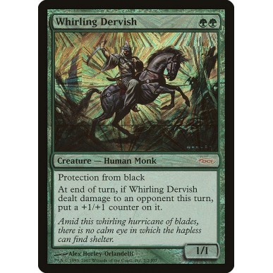 Whirling Dervish