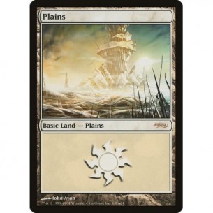 Plains