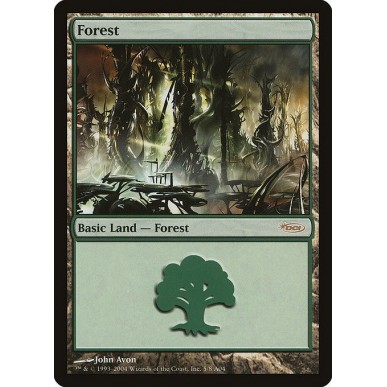 Forest