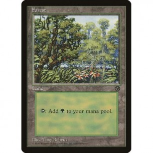 Forest