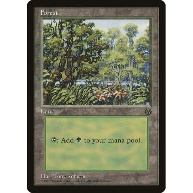Forest