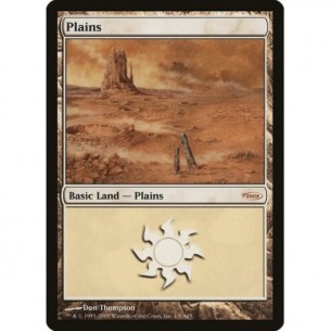 Plains