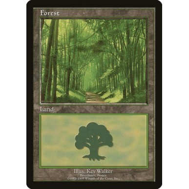 Forest
