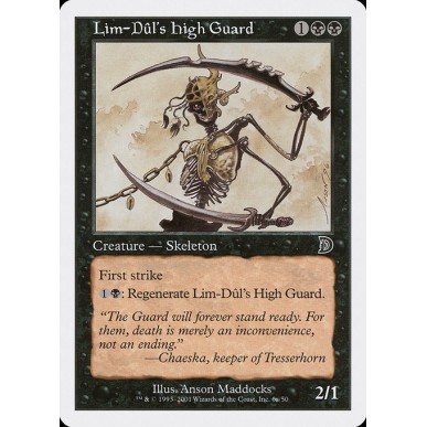 Lim-Dûl's High Guard