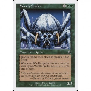 Woolly Spider