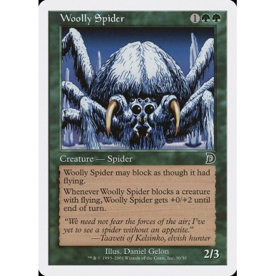 Woolly Spider