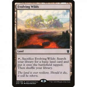 Evolving Wilds