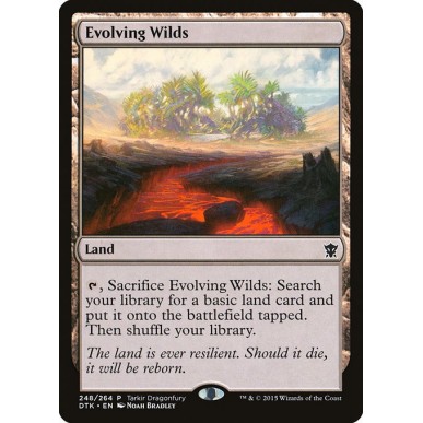 Evolving Wilds