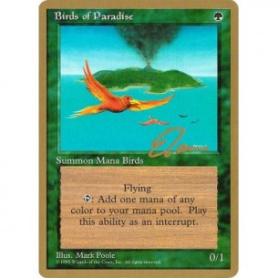 Birds of Paradise