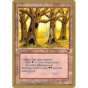 Havenwood Battleground