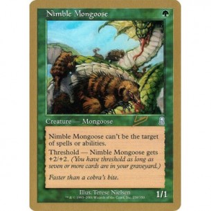 Nimble Mongoose