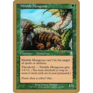 Nimble Mongoose