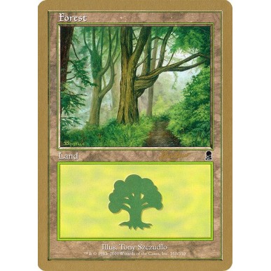 Forest