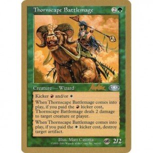 Thornscape Battlemage
