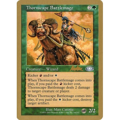 Thornscape Battlemage