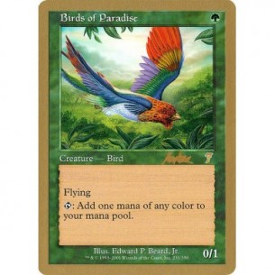 Birds of Paradise