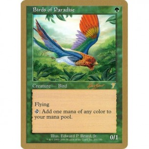 Birds of Paradise