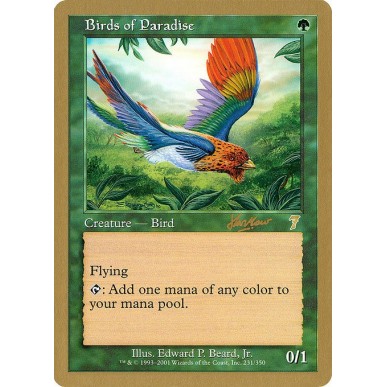 Birds of Paradise