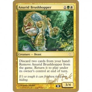 Anurid Brushhopper