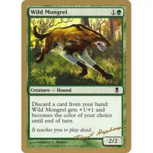 Wild Mongrel