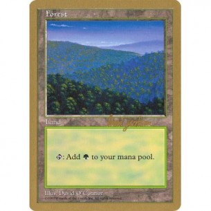 Forest