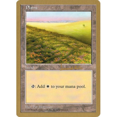 Plains