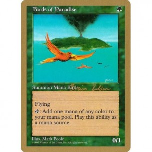 Birds of Paradise