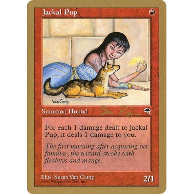 Jackal Pup