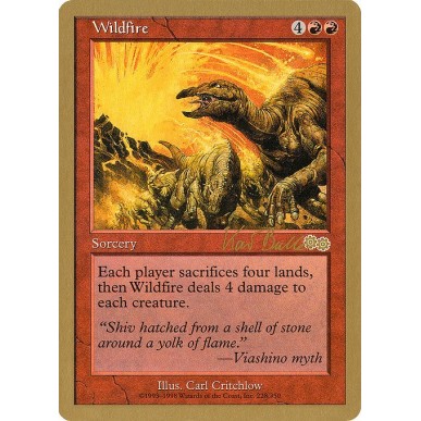 Wildfire