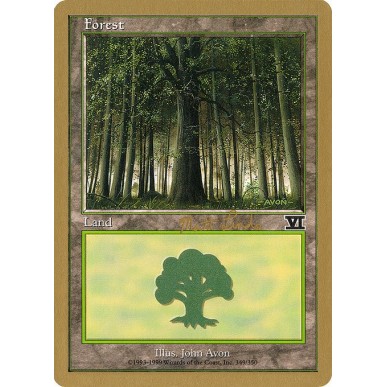Forest