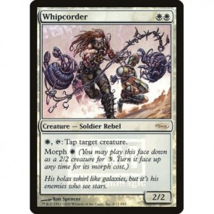 Whipcorder