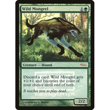 Wild Mongrel