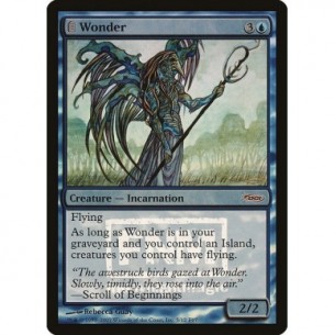 Wonder