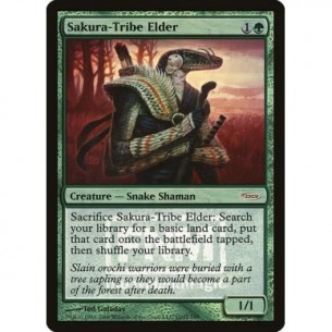 Sakura-Tribe Elder
