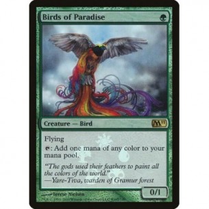 Birds of Paradise