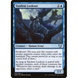 Tandem Lookout