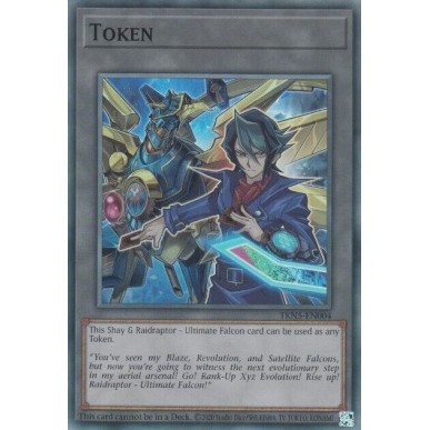 Shay & Raidraptor - Ultimate Falcon