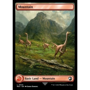Mountain // Mountain