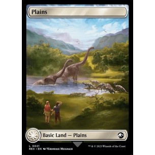 Plains // Plains