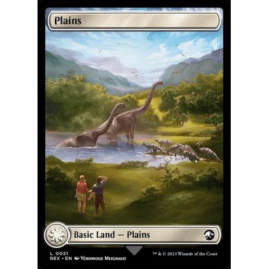 Plains // Plains