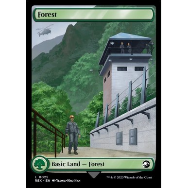 Forest // Forest