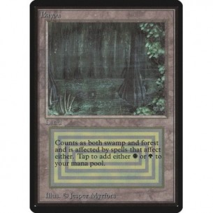Bayou