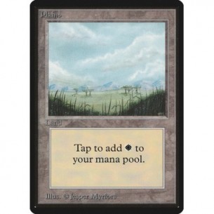 Plains